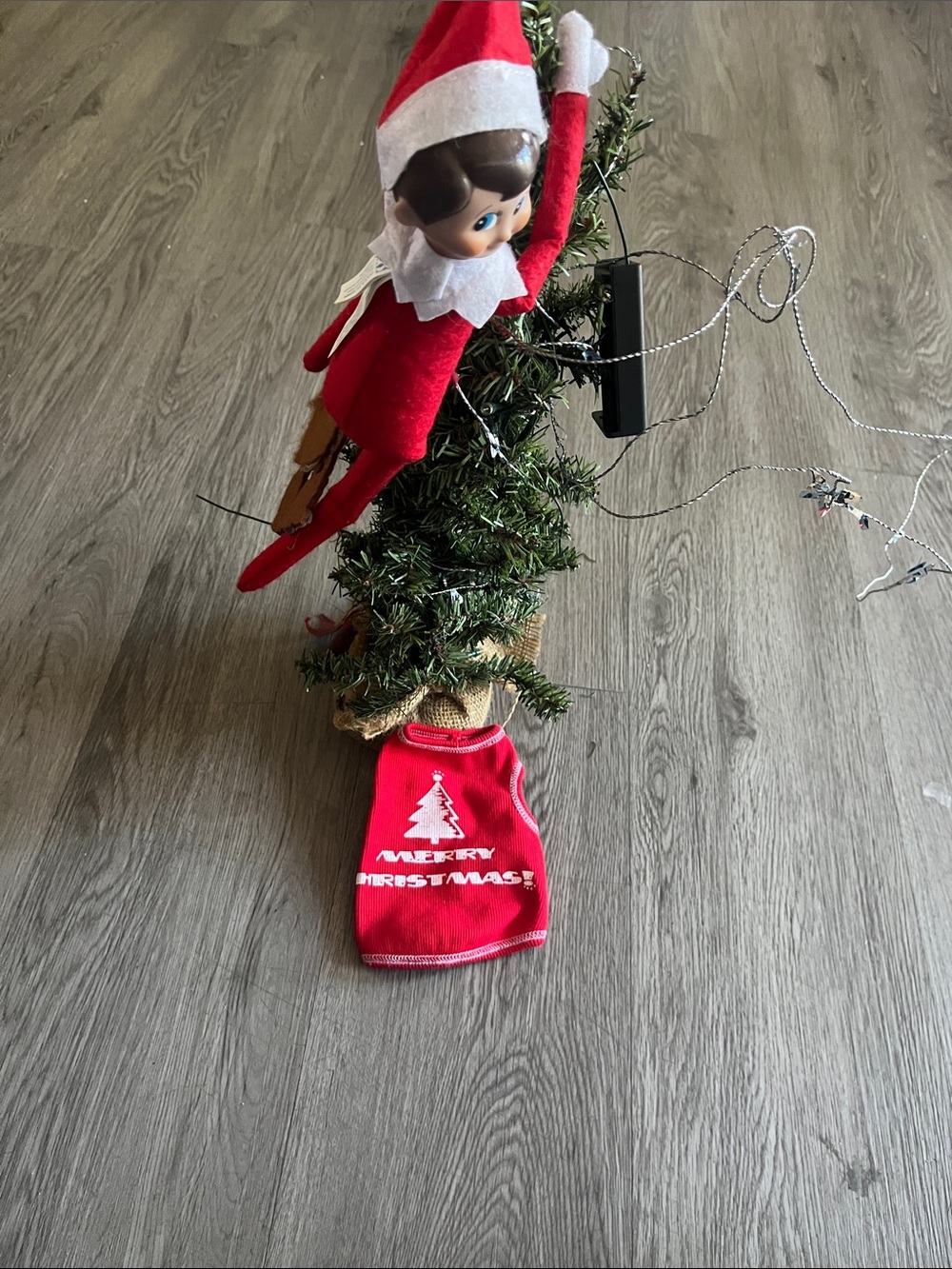 Merry Christmas tank for your furry baby